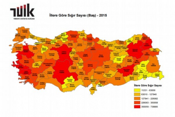 Hayvansal Üretim İstatistikleri Açıklandı